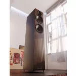 Acoustic Energy AE109 MKII álló hangfal - dió