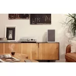 Denon PMA-1700NE sztereó erősítő - prémium ezüst