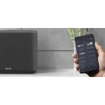 Denon HOME 250 vezeték nélküli hangszóró - fekete