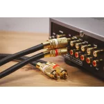 Monitor Stereo RCA összekötő kábel - 1 m