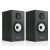 Pylon Audio Opal Monitor polc hangfal - fekete