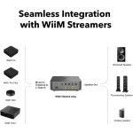 Wiim Vibelpink Amp sztereó végerősítő - szürke
